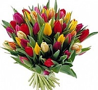 צבעוני מחמם צבעוני מחמם